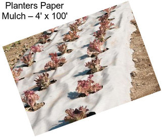 Planters Paper Mulch – 4\' x 100\'