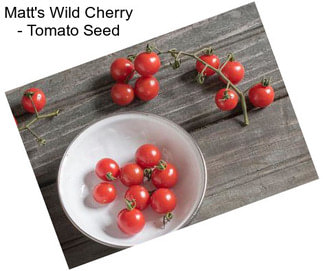 Matt\'s Wild Cherry - Tomato Seed