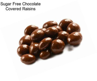 Sugar Free Chocolate Covered Raisins