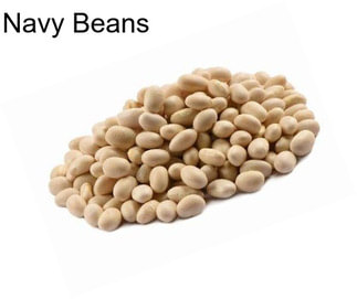 Navy Beans