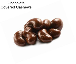 Chocolate Covered Cashews