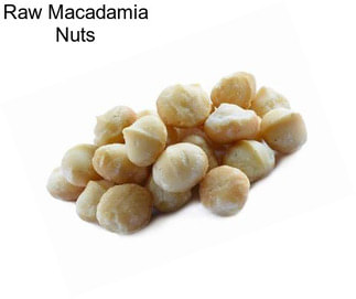 Raw Macadamia Nuts