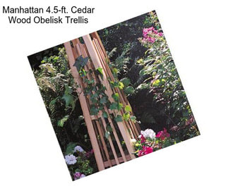 Manhattan 4.5-ft. Cedar Wood Obelisk Trellis