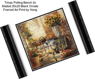 Trinas Potting Bench 2x Matted 20x20 Black Ornate Framed Art Print by Hong