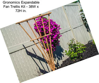 Gronomics Expandable Fan Trellis Kit - 38W x 72H in.