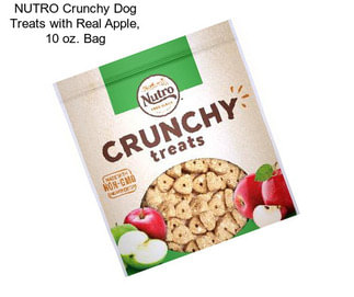 NUTRO Crunchy Dog Treats with Real Apple, 10 oz. Bag