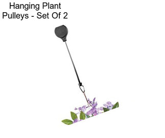 Hanging Plant Pulleys - Set Of 2