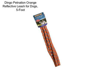Dingo Petnation Orange Reflective Leash for Dogs, 5-Foot