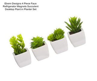 Ebern Designs 4 Piece Faux Refrigerator Magnets Succulent Desktop Plant in Planter Set