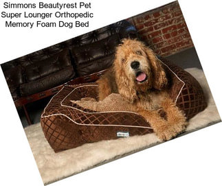 Simmons Beautyrest Pet Super Lounger Orthopedic Memory Foam Dog Bed