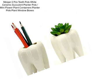 Meigar 2 Pcs Teeth Pots White Ceramic Succulent Planter Pots / Mini Flower Plant Containers Planter Pots Plant Window Boxes