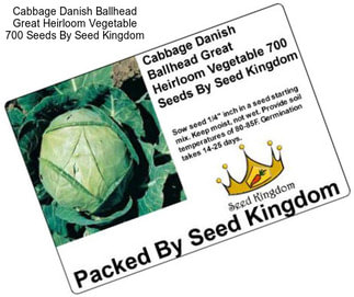 Cabbage Danish Ballhead Great Heirloom Vegetable 700 Seeds By Seed Kingdom