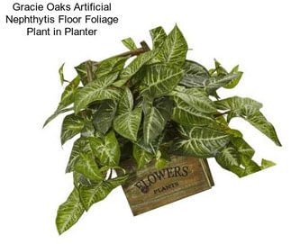 Gracie Oaks Artificial Nephthytis Floor Foliage Plant in Planter