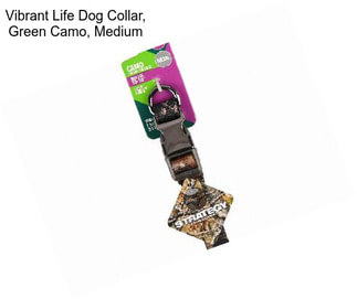 Vibrant Life Dog Collar, Green Camo, Medium
