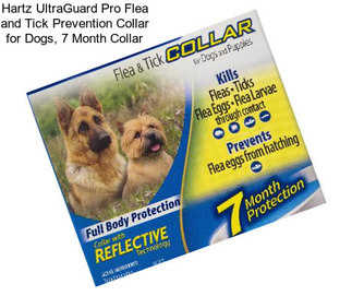 Hartz UltraGuard Pro Flea and Tick Prevention Collar for Dogs, 7 Month Collar