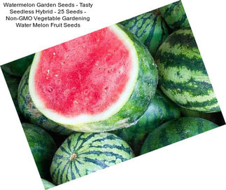 Watermelon Garden Seeds - Tasty Seedless Hybrid - 25 Seeds - Non-GMO Vegetable Gardening Water Melon Fruit Seeds
