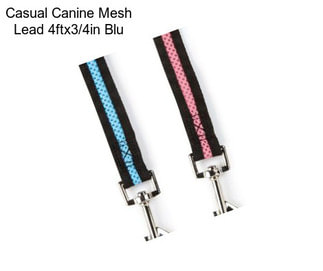 Casual Canine Mesh Lead 4ftx3/4in Blu