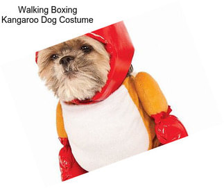 Walking Boxing Kangaroo Dog Costume