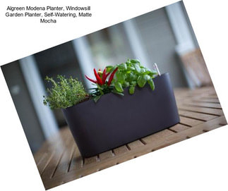 Algreen Modena Planter, Windowsill Garden Planter, Self-Watering, Matte Mocha