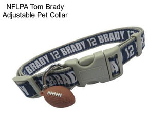 NFLPA Tom Brady Adjustable Pet Collar