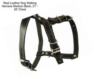 Real Leather Dog Walking Harness Medium Black, 21\' - 26\' Chest