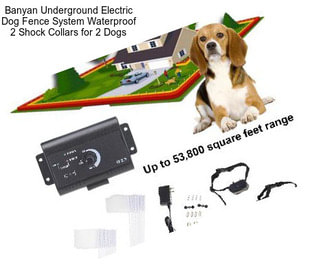 Banyan Underground Electric Dog Fence System Waterproof 2 Shock Collars for 2 Dogs