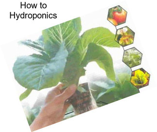 How to Hydroponics
