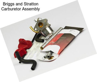 Briggs and Stratton Carburetor Assembly