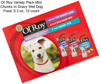 Ol\' Roy Variety Pack Mini Chunks in Gravy Wet Dog Food, 5.3 oz, 12 count