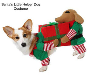 Santa\'s Little Helper Dog Costume