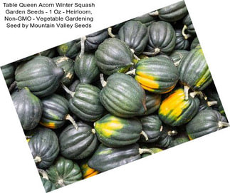 Table Queen Acorn Winter Squash Garden Seeds - 1 Oz - Heirloom, Non-GMO - Vegetable Gardening Seed by Mountain Valley Seeds