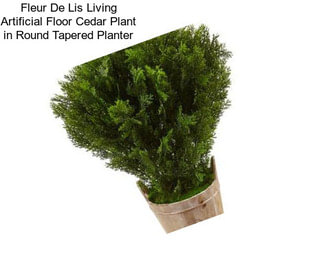 Fleur De Lis Living Artificial Floor Cedar Plant in Round Tapered Planter