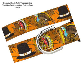 Country Brook Petz Thanksgiving Tradition Featherweight Deluxe Dog Collar