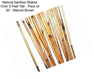 Natural bamboo Stakes Over 5 Feet Tall - Pack of 20 - Natural Brown