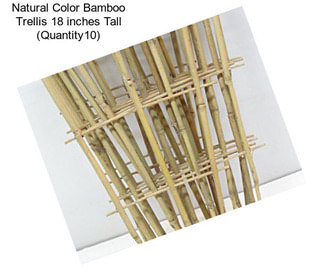 Natural Color Bamboo Trellis 18 inches Tall (Quantity10)