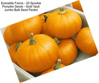 Everwilde Farms - 20 Spookie Pumpkin Seeds - Gold Vault Jumbo Bulk Seed Packet