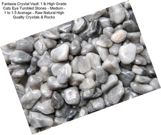 Fantasia Crystal Vault: 1 lb High Grade Cats Eye Tumbled Stones - Medium - 1\