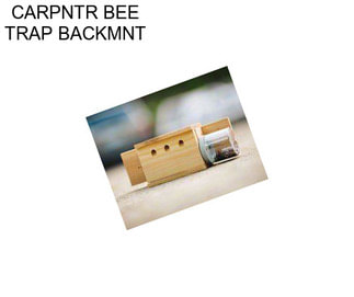 CARPNTR BEE TRAP BACKMNT