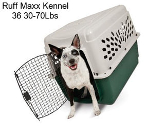 Ruff Maxx Kennel 36\