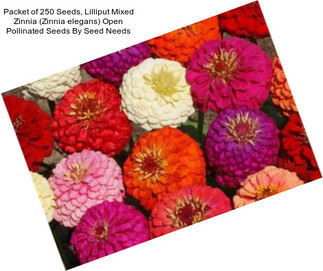 Packet of 250 Seeds, Lilliput Mixed Zinnia (Zinnia elegans) Open Pollinated Seeds By Seed Needs