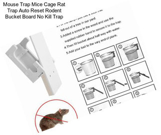 Mouse Trap Mice Cage Rat Trap Auto Reset Rodent Bucket Board No Kill Trap