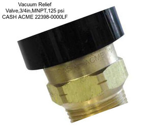 Vacuum Relief Valve,3/4in,MNPT,125 psi CASH ACME 22398-0000LF
