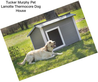 Tucker Murphy Pet Lamotte Thermocore Dog House