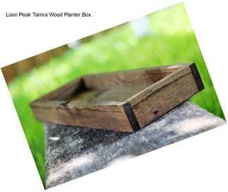 Loon Peak Tamra Wood Planter Box