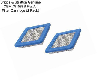 Briggs & Stratton Genuine OEM 491588S Flat Air Filter Cartridge (2 Pack)