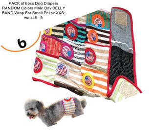 PACK of 6pcs Dog Diapers RANDOM Colors Male Boy BELLY BAND Wrap For Small Pet sz XXS: waist 8\