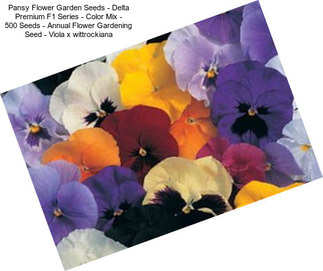 Pansy Flower Garden Seeds - Delta Premium F1 Series - Color Mix - 500 Seeds - Annual Flower Gardening Seed - Viola x wittrockiana