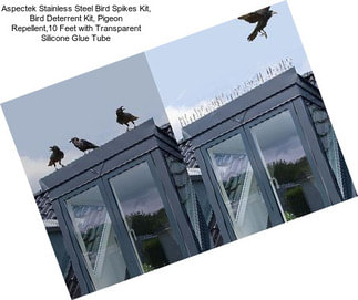 Aspectek Stainless Steel Bird Spikes Kit, Bird Deterrent Kit, Pigeon Repellent,10 Feet with Transparent Silicone Glue Tube