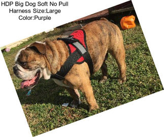 HDP Big Dog Soft No Pull Harness Size:Large Color:Purple