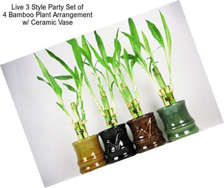 Live 3 Style Party Set of 4 Bamboo Plant Arrangement w/ Ceramic Vase